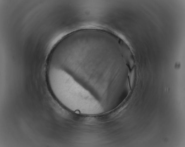 X0000088871463200707061337