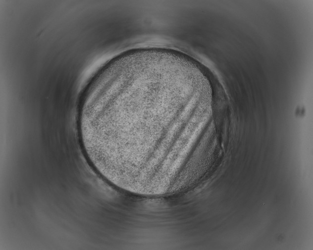 X0000088871464200707061337