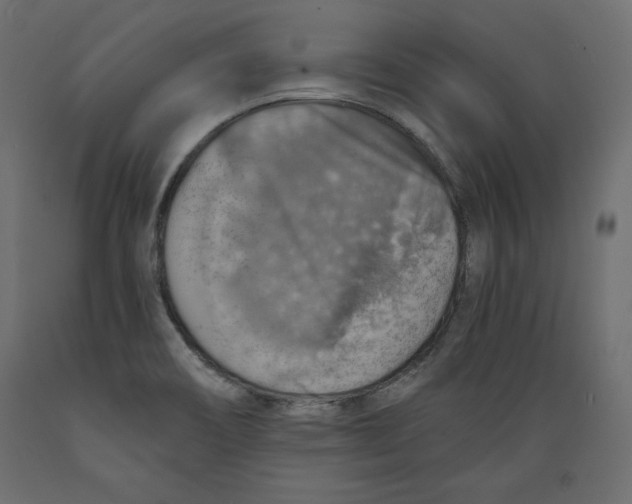 X0000088871466200707061337