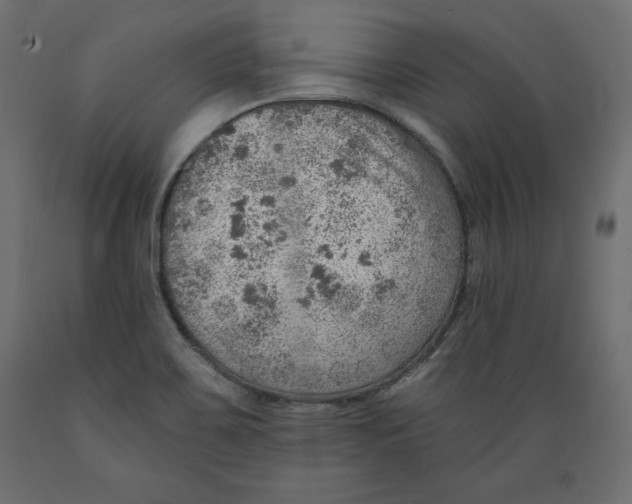 X0000088871467200707061337