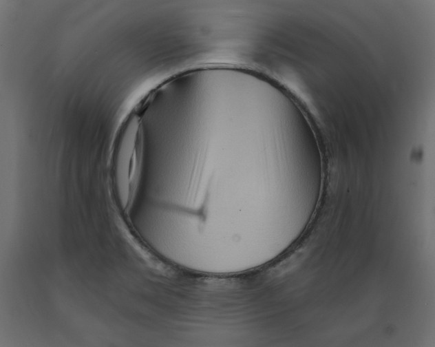 X0000088871469200707061337