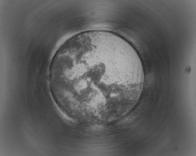 X0000088871470200707061337
