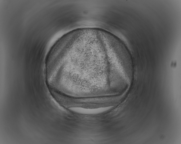 X0000088871472200707061337