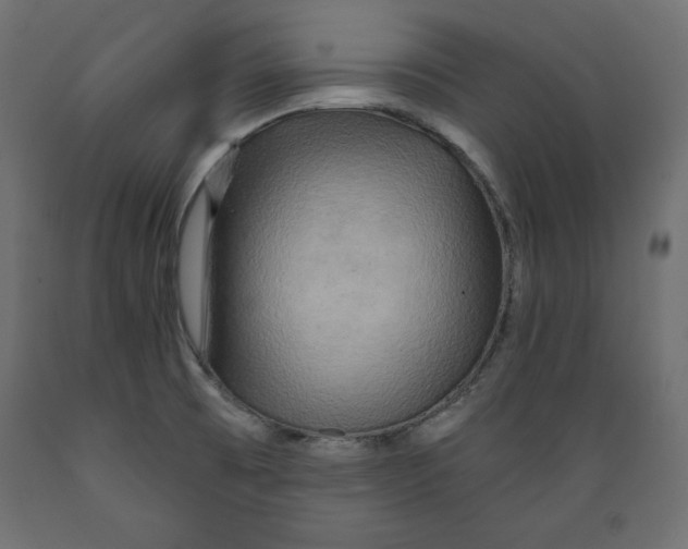 X0000088871473200707061337