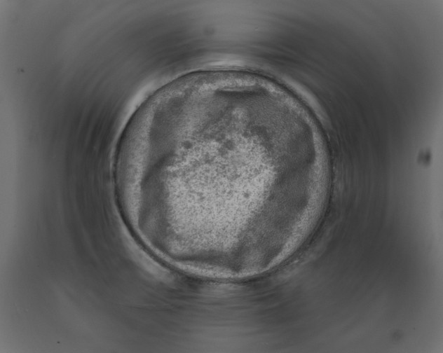 X0000088871475200707061337