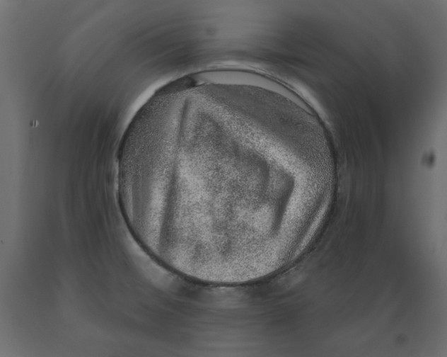 X0000088871476200707061337