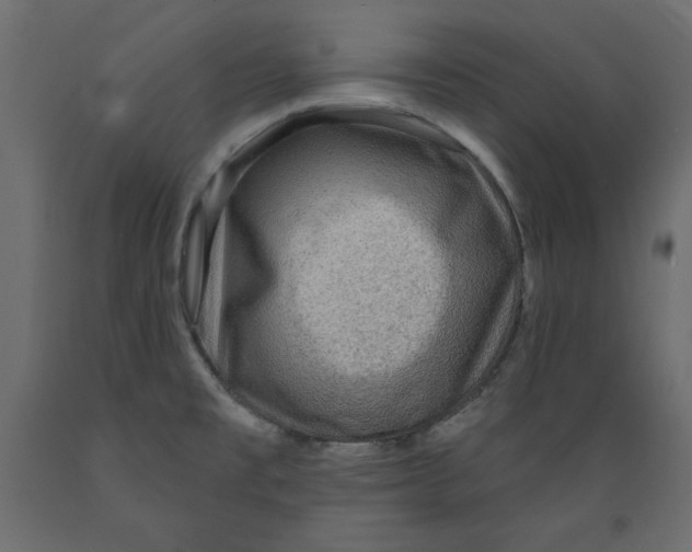 X0000088871477200707061337