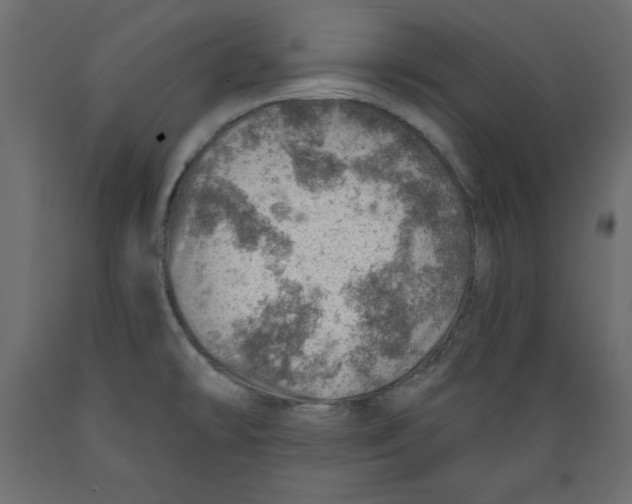X0000088871478200707061337
