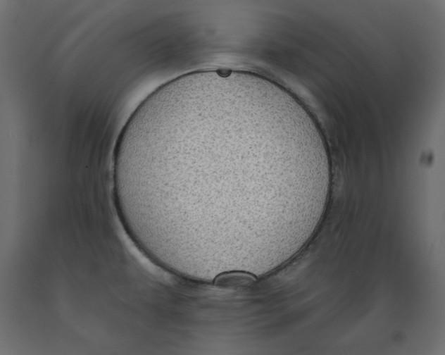 X0000088871479200707061337