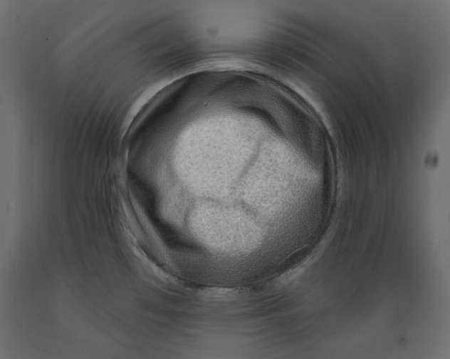 X0000088871481200707061337