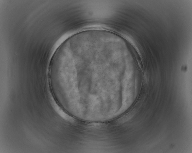 X0000088871482200707061337