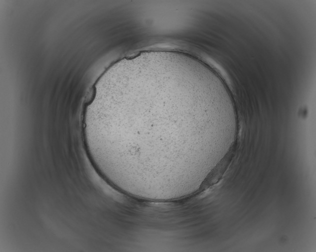 X0000088871483200707061337