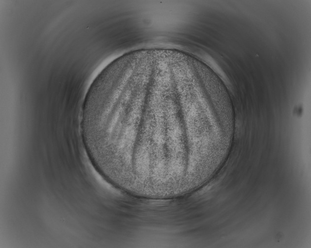 X0000088871484200707061337