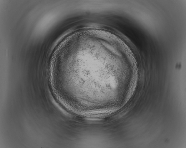 X0000088871487200707061337