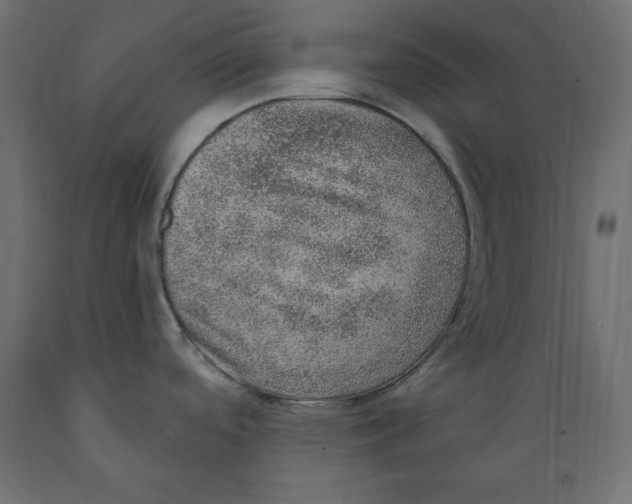 X0000088871488200707061337
