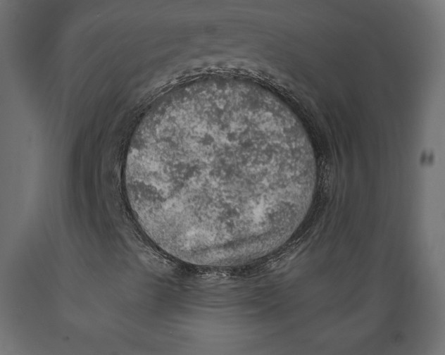 X0000088871489200707061336