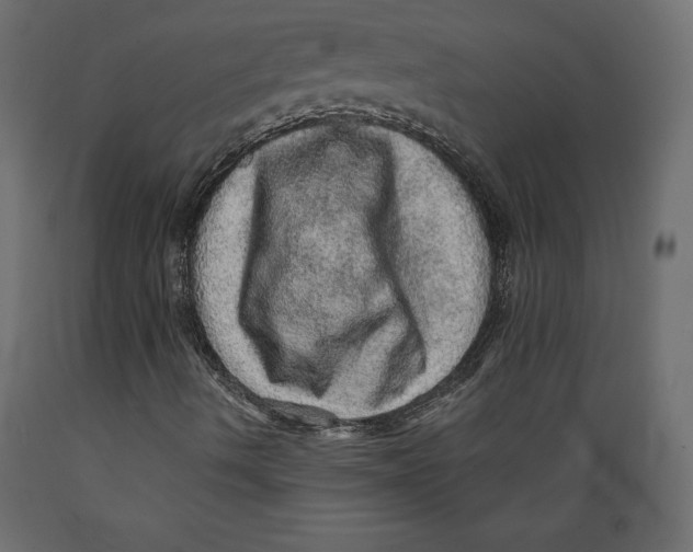 X0000088871490200707061336