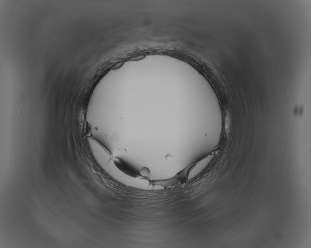 X0000088871492200707061336