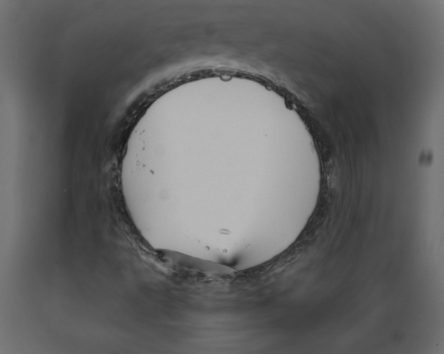 X0000088871495200707061336