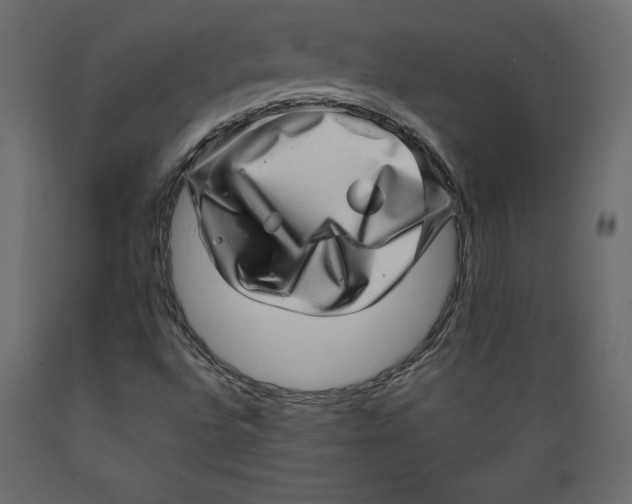 X0000088871496200707061336