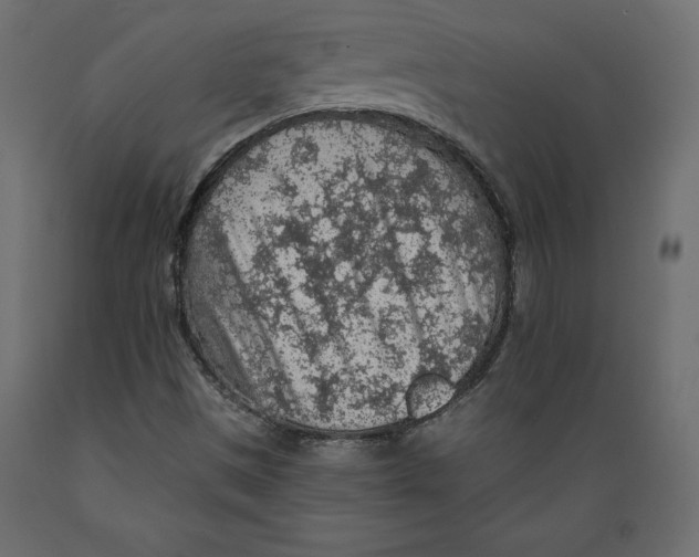 X0000088871497200707061336
