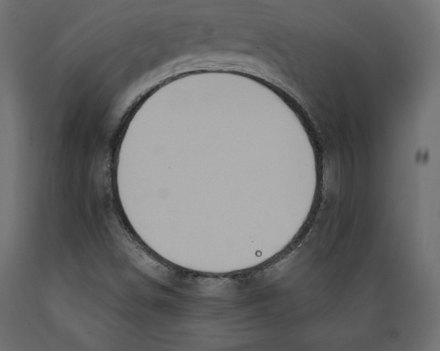 X0000088871498200707061336
