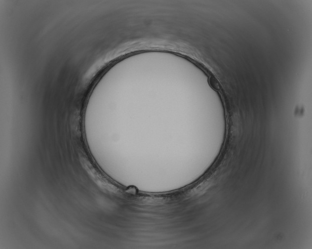 X0000088871499200707061336