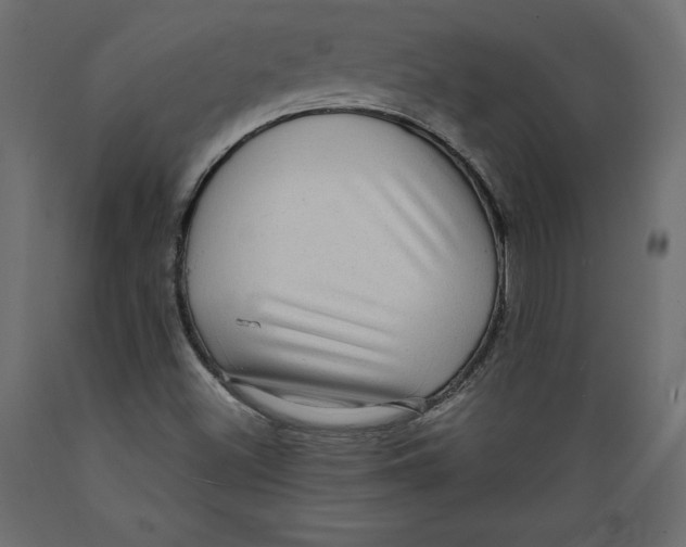 X0000088871500200707061336