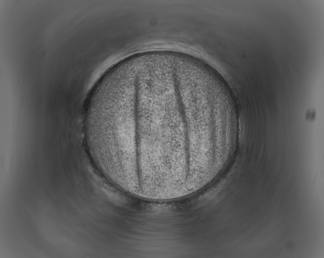 X0000088871501200707061336