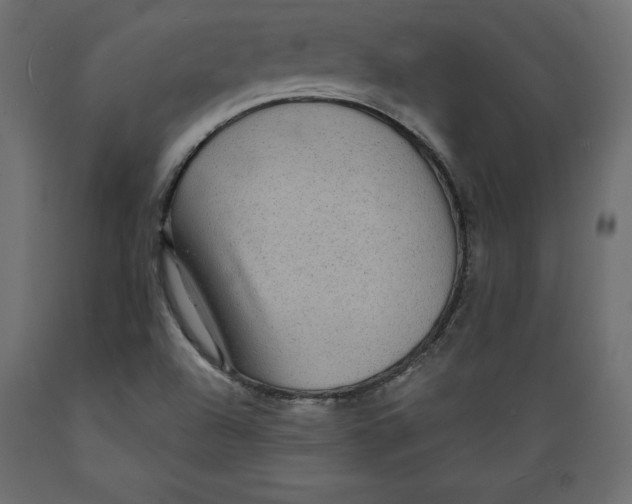 X0000088871504200707061336