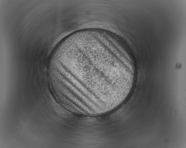 X0000088871505200707061336