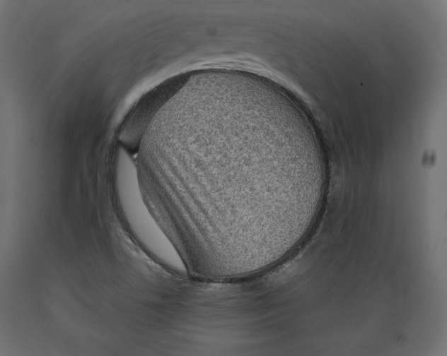 X0000088871506200707061336