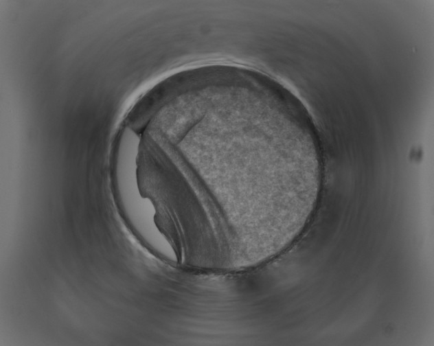 X0000088871508200707061336