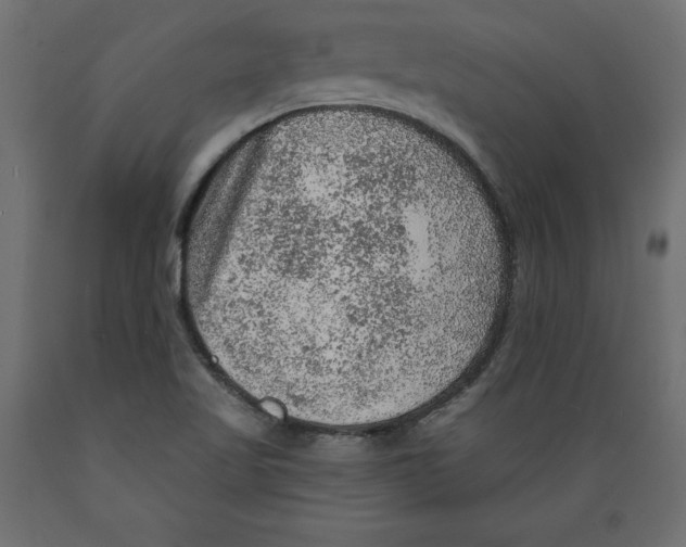X0000088871509200707061336