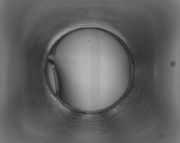 X0000088871510200707061336