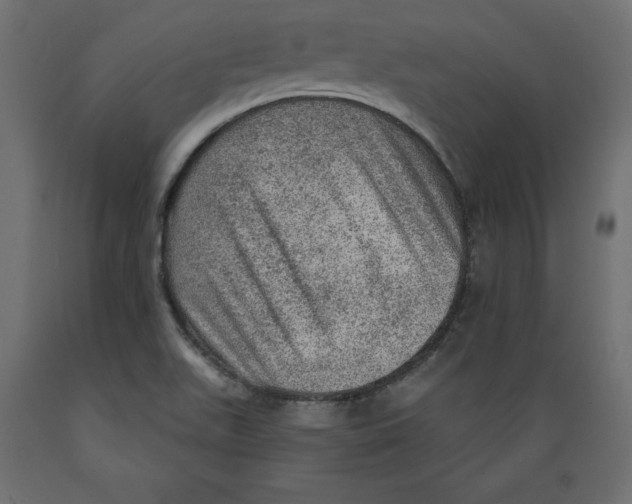 X0000088871511200707061336