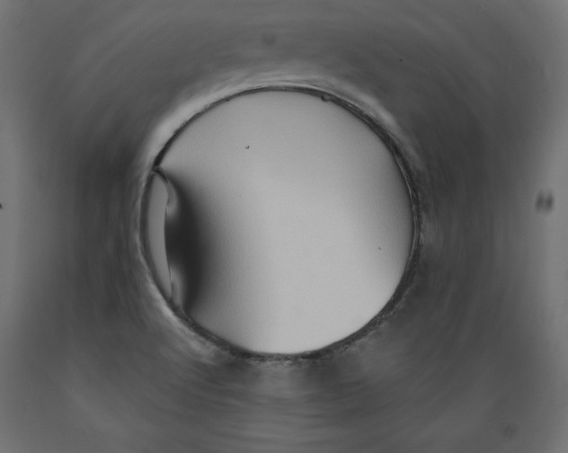 X0000088871512200707061336