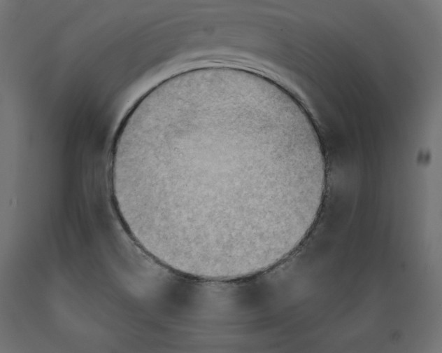 X0000088871514200707061336