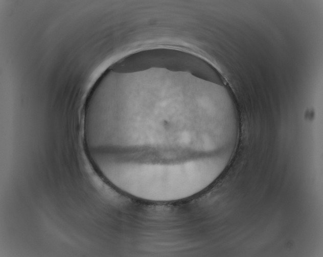 X0000088871515200707061336