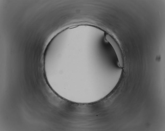 X0000088871516200707061336