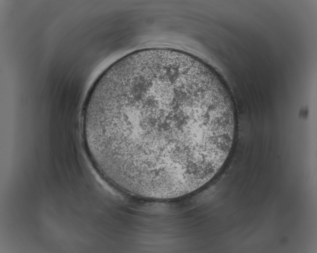 X0000088871517200707061336