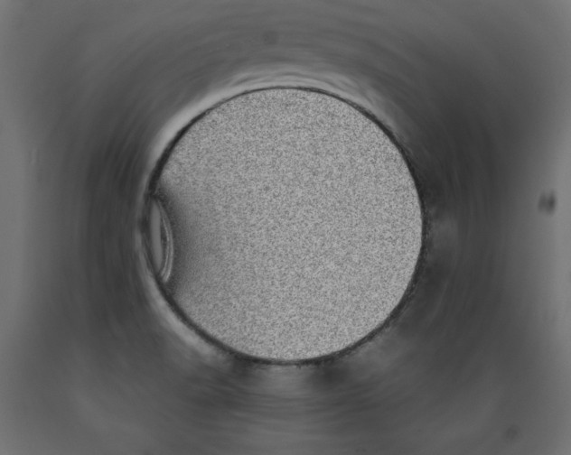 X0000088871518200707061336