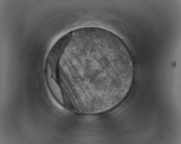 X0000088871519200707061336