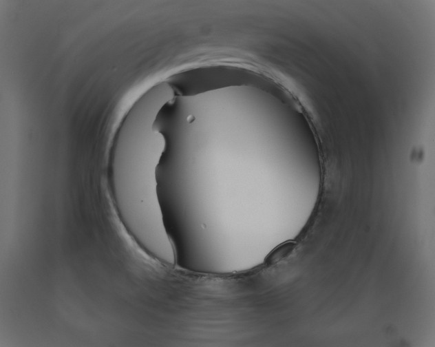 X0000088871520200707061336