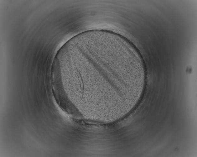 X0000088871521200707061336