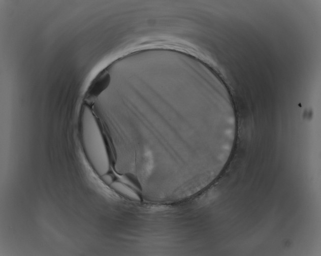 X0000088871522200707061336