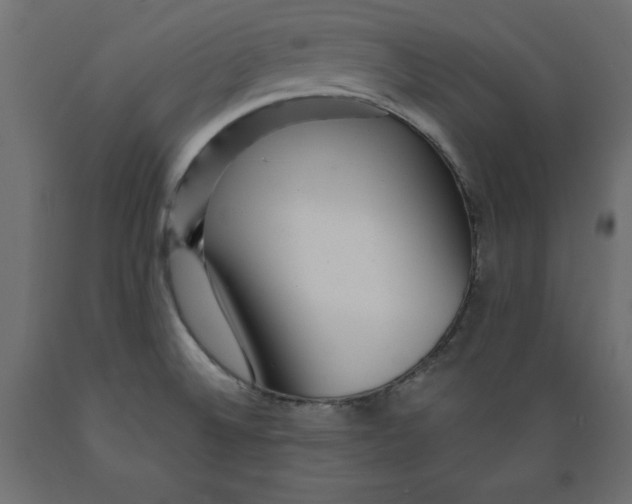 X0000088871524200707061336