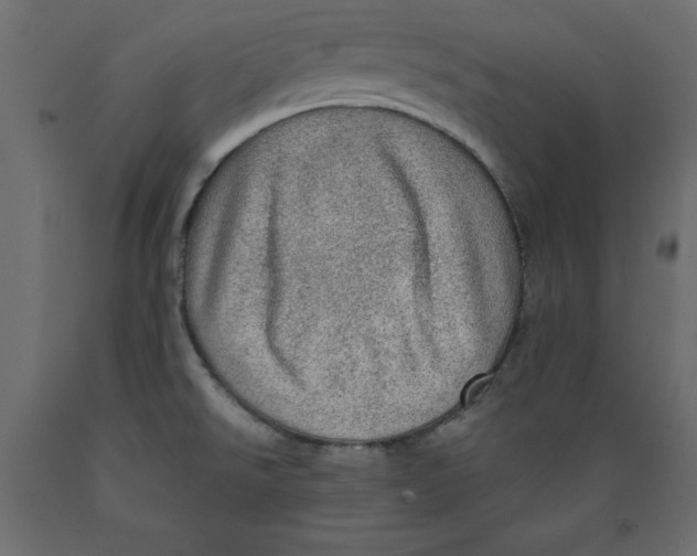 X0000088871526200707061336