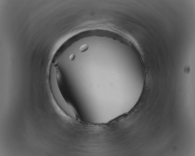 X0000088871528200707061336