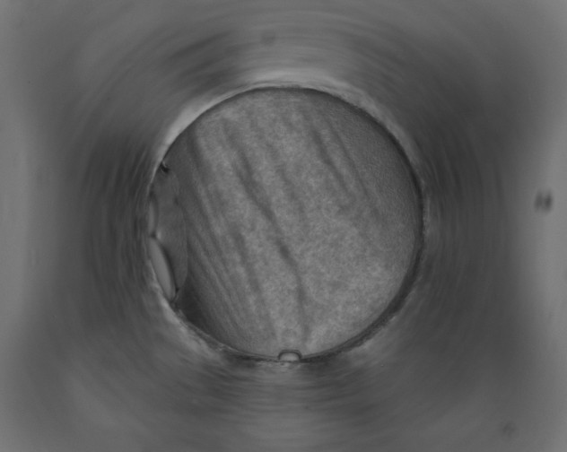 X0000088871529200707061336